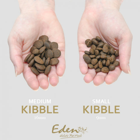 Eden 80/20 Country Cuisine kibble size comparison — Sparkly Tails