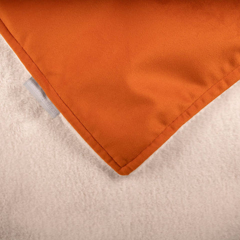 Super Soft Dog Blanket in Pumpkin Velvet