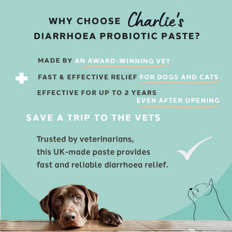 Advertisement for Charlie's Diarrhoea Probiotic Paste with a dog and cat illustration on a teal background.