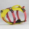 Ruffwear flagline Yellow and red dog harness with black buckles on a white background
