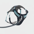 Dog harness with blue accents on a white background