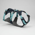 Dog harness with teal and black straps on a white background