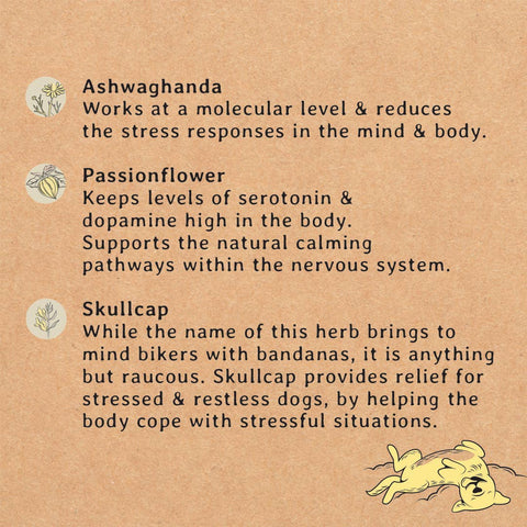 Text describing the effects of Ashwagandha, Passionflower, and Skullcap on dogs' stress responses and nervous system.