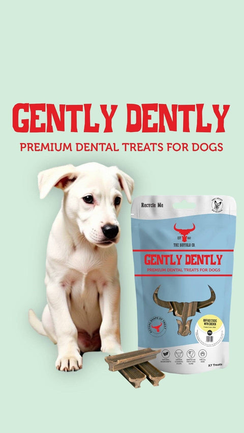 Natural Dental Sticks for Dogs, Chicken with dog