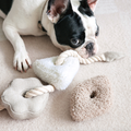Dog playing with a plush toy on a soft surface
