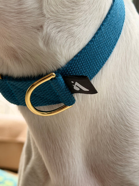 Cotton Slip-on Dog Collar, Vackertass, Azure Blue