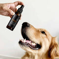 Person holding a bottle of pet product near a dog's nose