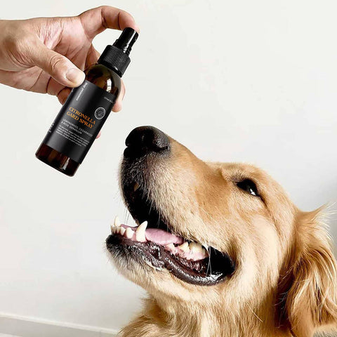 Person holding a bottle of pet product near a dog's nose