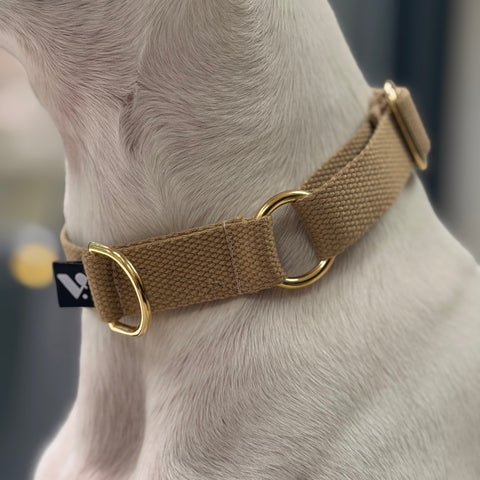 Dog wearing a Beige collar with a brand logo on a blurred background