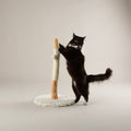 Scruffs Alpine Rockies Cat Scratching Post in cream — Sparkly Tails