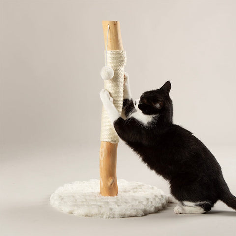 Cat scratching the Scruffs Alpine Rockies post in cream — Sparkly Tails