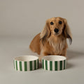 Scruffs Amalfi Striped Dog Bowl Set Green — lifestyle — Sparkly Tails