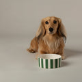 Scruffs Amalfi Striped Dog Bowl Set Green — lifestyle — Sparkly Tails