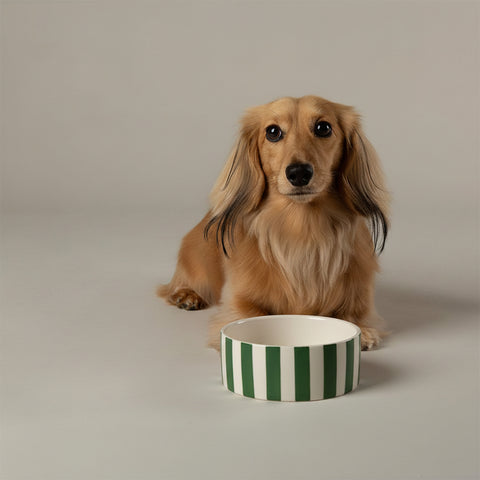 Scruffs Amalfi Striped Dog Bowl Set Green — lifestyle — Sparkly Tails