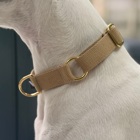 Cotton Slip-on Dog Collar, Vackertass, Beige