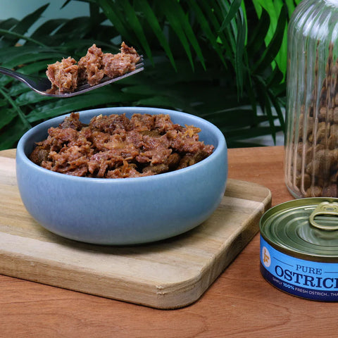 Blue bowl of pet food with a can of oyster on a wooden surface