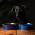 Scruffs Reactive Glaze Dog Bowl Set Midnight Blue 19cm — studio shot — Sparkly Tails