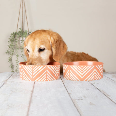 Scruffs Aztec Dog Bowl Set Terracotta Orange 19cm — studio shot — Sparkly Tails