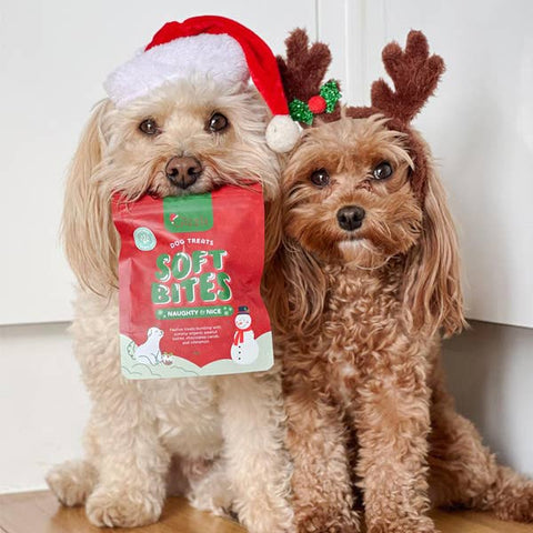 Christmas Dog Treats – Peanut Butter & Carob 🎄