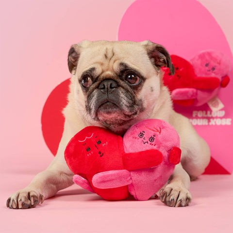 Pug dog holding a heart-shaped plush toy against a pink background with a heart design.