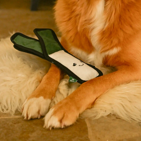 Dog playing with a Larry, a Beco toy resembling a leek on a soft surface