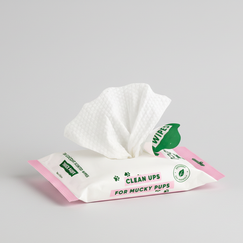 Beco Pet Wipes Coconut Scented