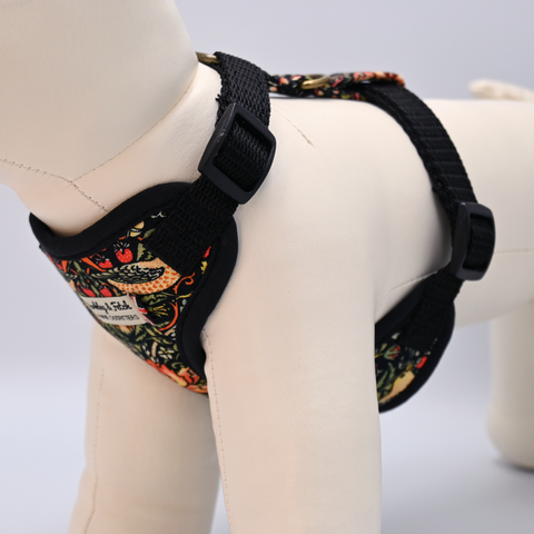 Dog harness with decorative pattern and 'Barkley & Fetch' label on a mannequin.