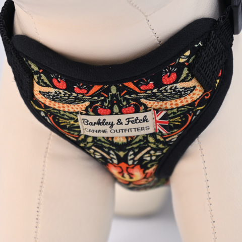 Dog harness with decorative pattern and 'Barkley & Fetch' label on a mannequin.