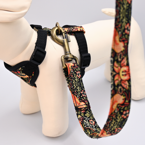 Dog harness  and lead set with decorative pattern and 'Barkley & Fetch' label on a mannequin.