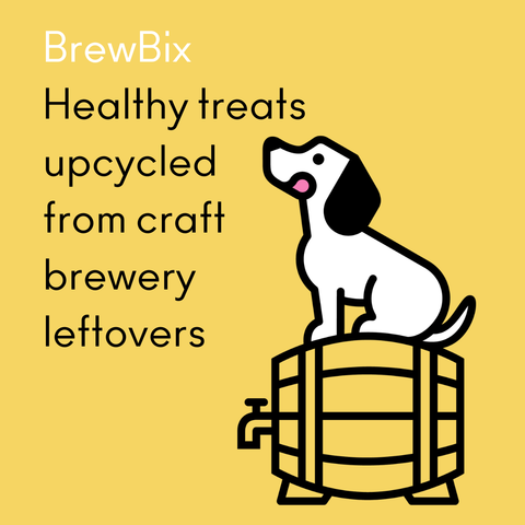 Brewbix healthy treats upcycled from craft brewbix