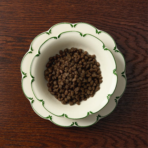 Canagan Petite Chicken and Duck kibble close-up — Sparkly Tails