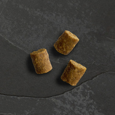 Canagan Wild Bites Chicken Dog Treats - treats close up - Sparkly Tails