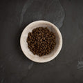 Canagan Dental Cat Food — kibble close-up — Sparkly Tails