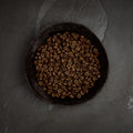 Canagan_Kibble_Chicken_Small_Breed_Small_Breed_Dental_Retouched