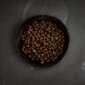 Canagan Country Game kibble close-up — grain-free dry dog food — Sparkly Tails