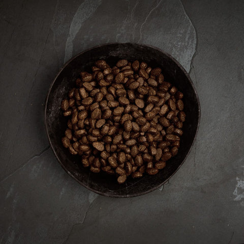 Canagan Country Game kibble close-up — grain-free dry dog food — Sparkly Tails
