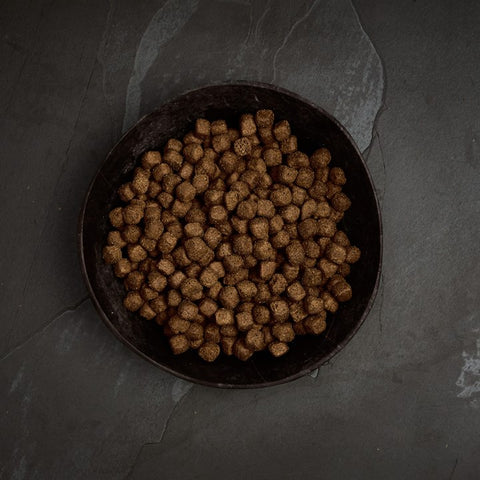 balls for Canagan, Dental Free Run Turkey, All Ages