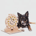 Dog playing with a wooden puzzle toy on a white background