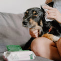 Beco Dog Ear Cleaning Wipes — bamboo cloth texture detail — Sparkly Tails