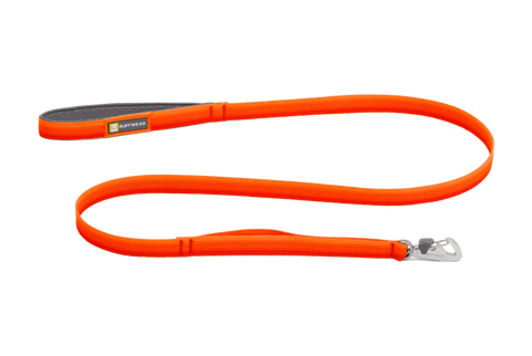 Orange dog leash with a metal clip on a white background