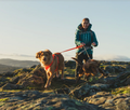 Person walking two dogs on a rocky landscape with a scenic background