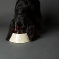 Scruffs Icon Long Eared Dog Bowl Set Cream — studio shot — Sparkly Tails