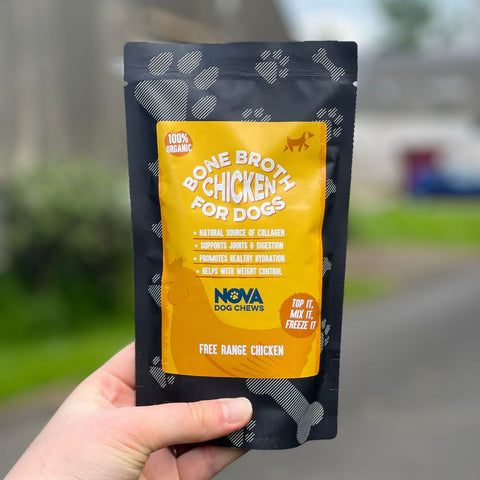Hand holding a package of 'Bone Broth Chicken for Dogs' by NOW Dog Chews with a blurred outdoor background.