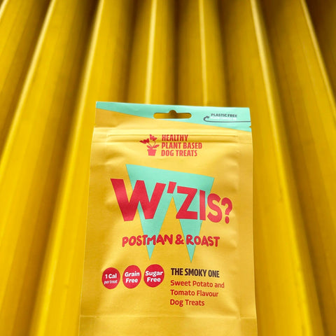 Dog with W'ZIS Squeaky Ball & Roast treats by yellow door — Sparkly Tails
