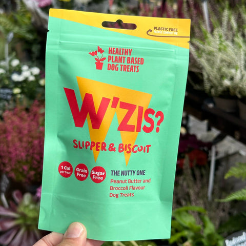 Dog with W'ZIS Slipper & Biscuit treats lifestyle shot — Sparkly Tails