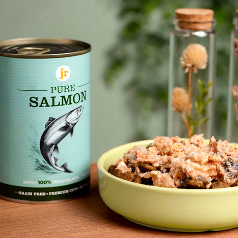 Can of Pure Salmon pet food next to a bowl of pet food on a wooden surface with a blurred natural background.