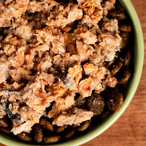 Close-up of pet food in a green bowl on a wooden surface