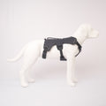Ruffwear Web Master Harness, Side View