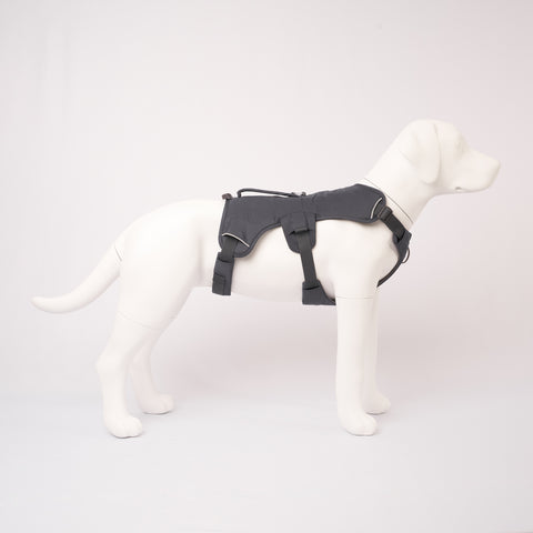 Ruffwear Web Master Harness, Side View