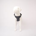 Ruffwear Web Master Harness, Front View